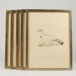 1774&nbsp;6116&nbsp;Litografiska b..